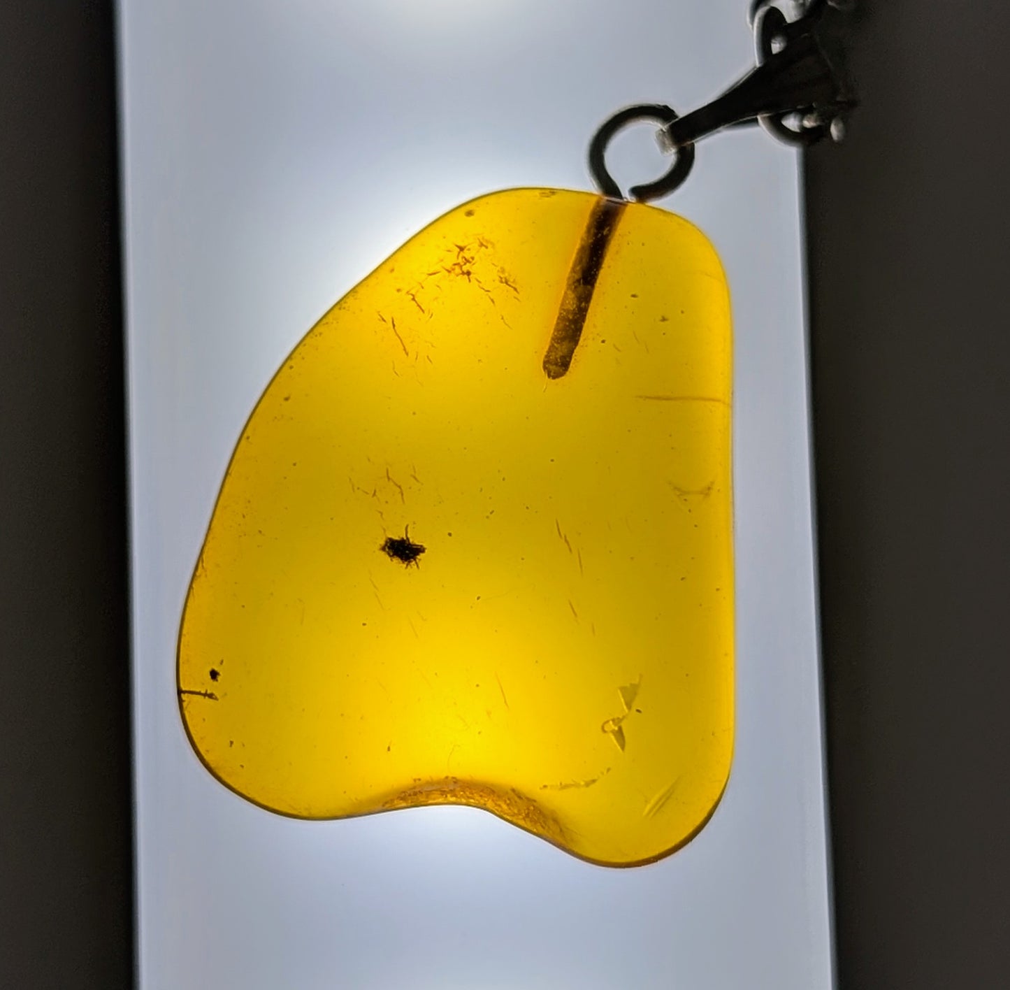 Collier Ambre Baltique