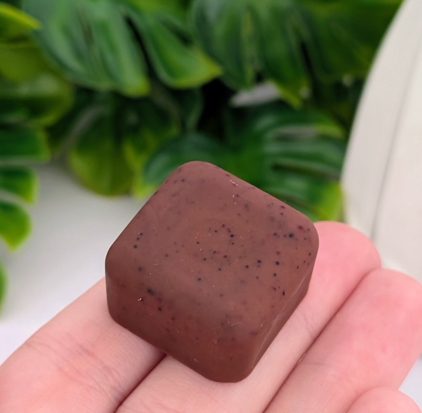 Fondant Chocolat Noisette