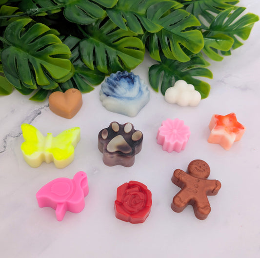 PACK DÉCOUVERT CORTA