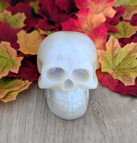 CRÂNE BLANC