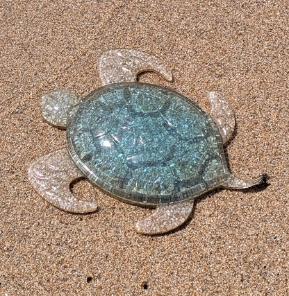 Tortue Océan