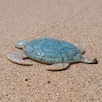 Tortue Océan