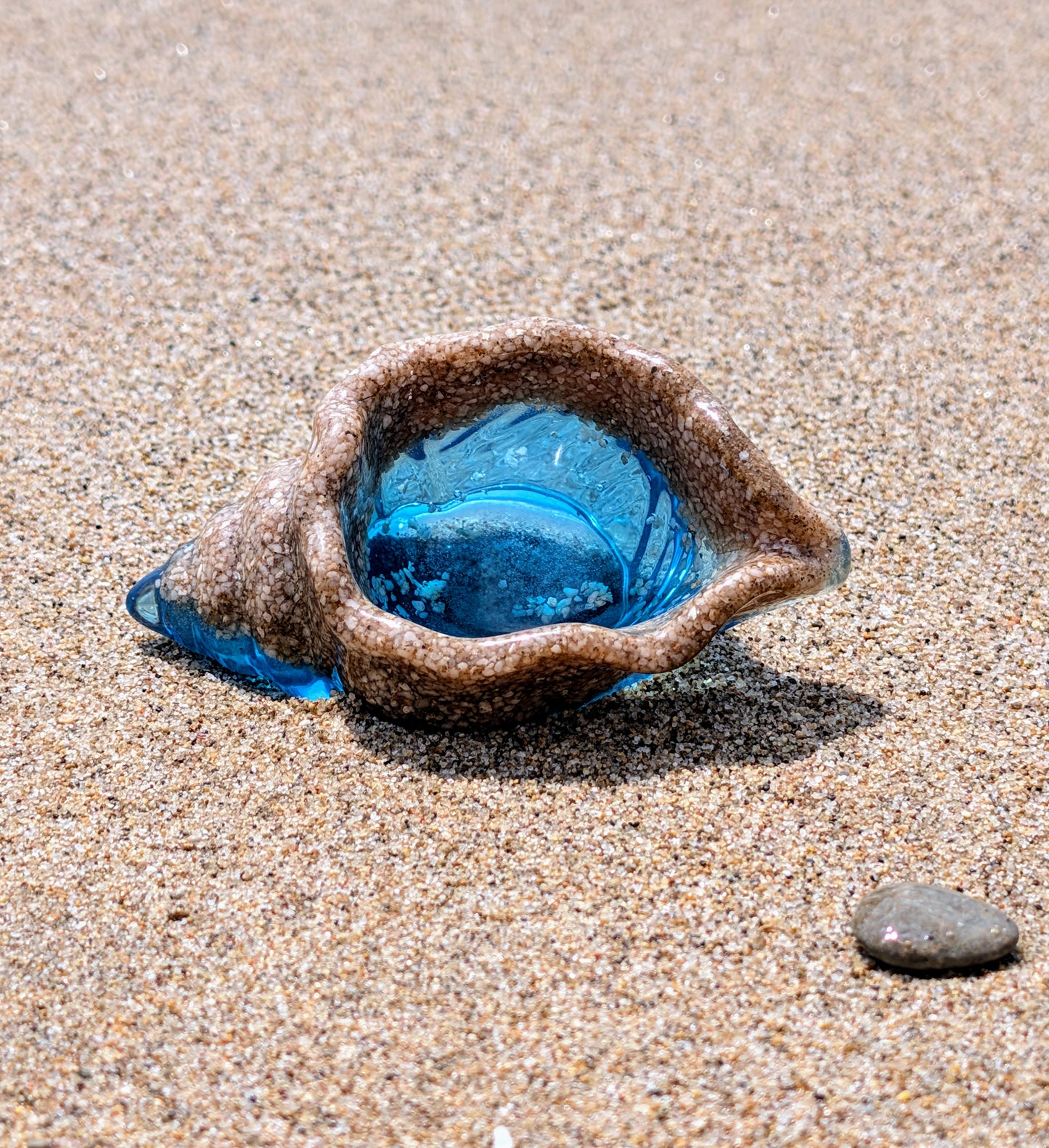 Coquillage