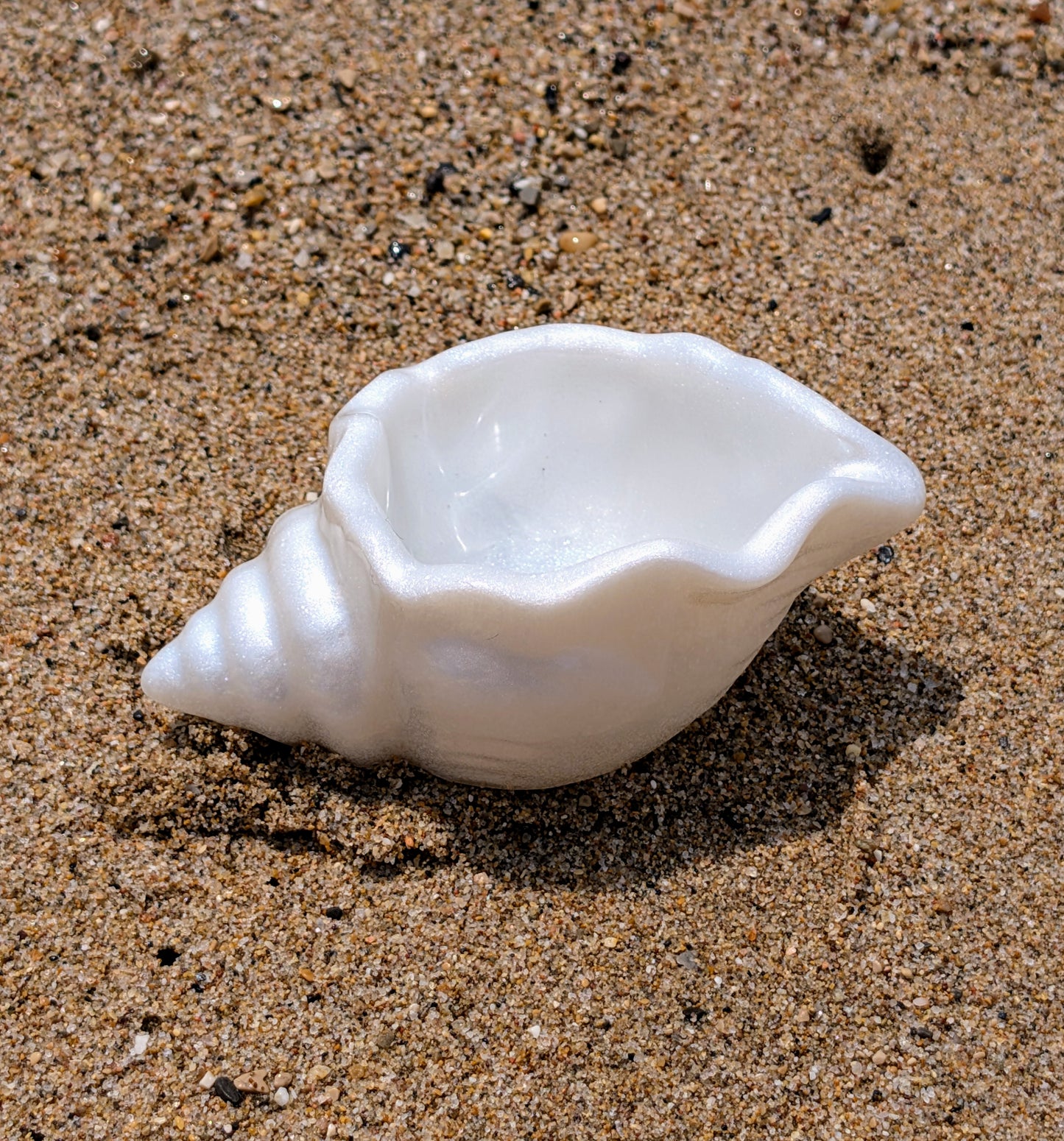 Coquillage