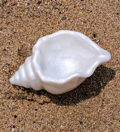 Coquillage