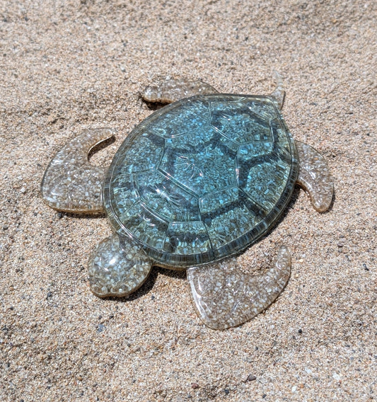 Tortue Océan