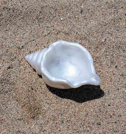 Coquillage