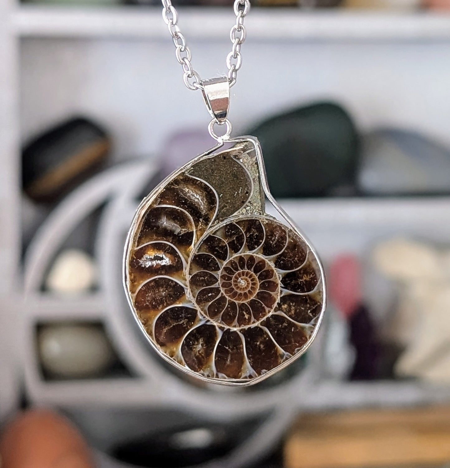 Collier Ammonite