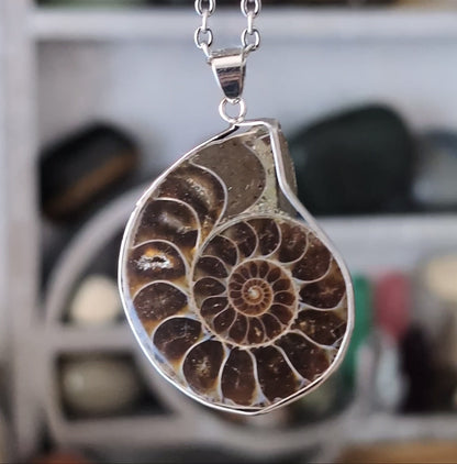 Collier Ammonite