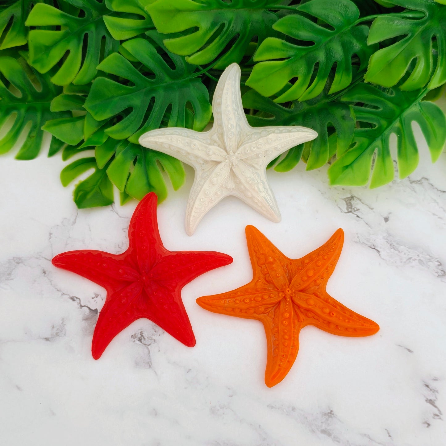 MAGNET ÉTOILE DE MER