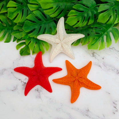 MAGNET ÉTOILE DE MER