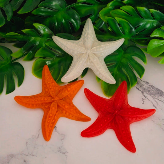 MAGNET ÉTOILE DE MER