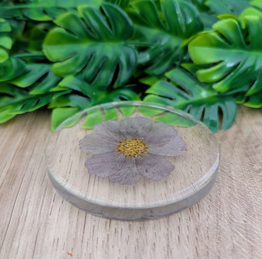 Sous-Verre Fleur