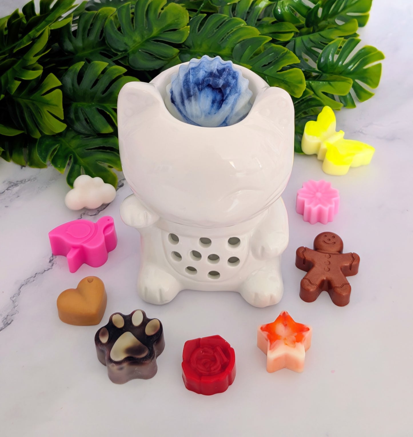 PACK DÉCOUVERT TOMMY