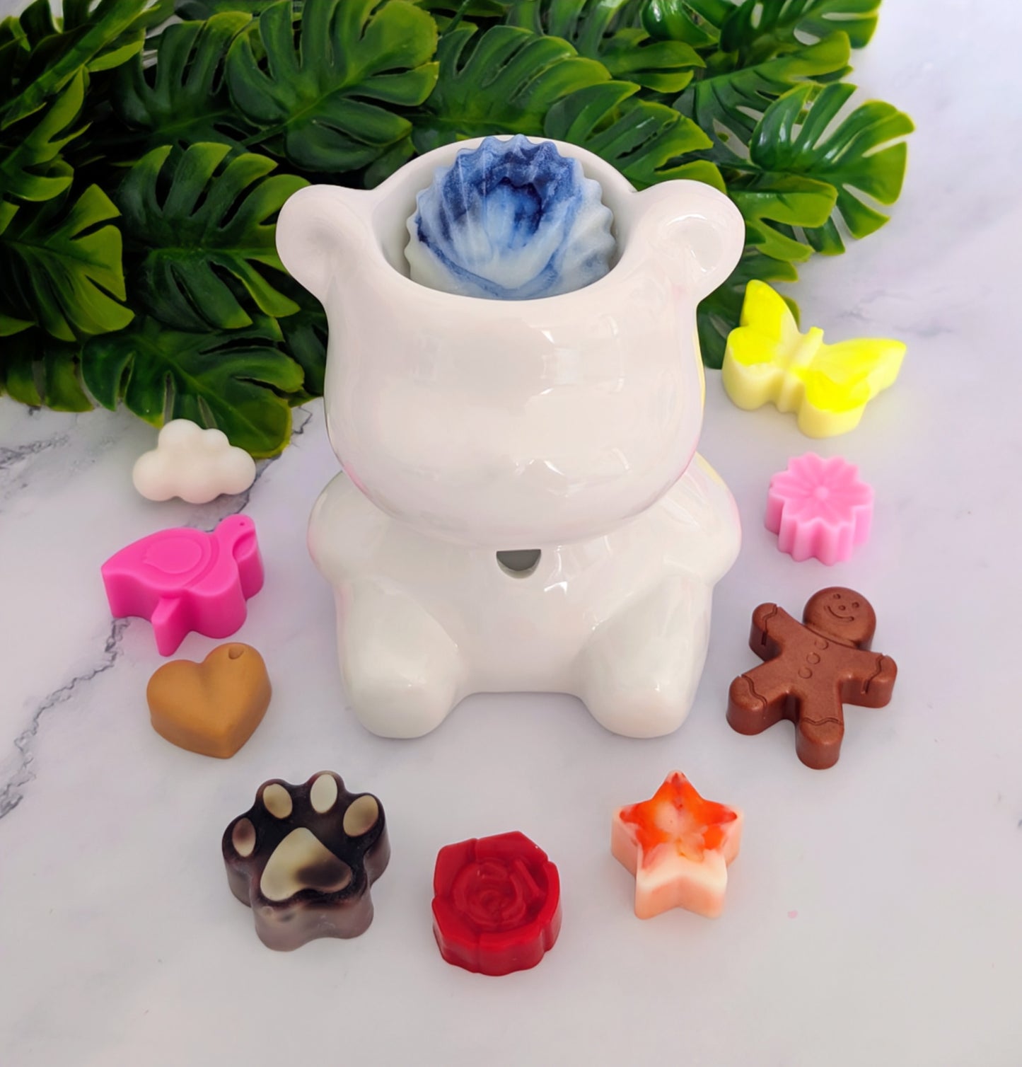 PACK DÉCOUVERT TEDDY