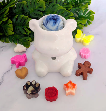 PACK DÉCOUVERT TEDDY