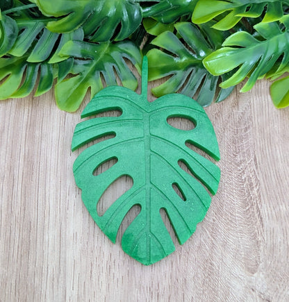SOUS-VERRE MONSTERA