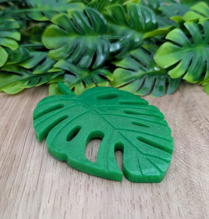 SOUS-VERRE MONSTERA