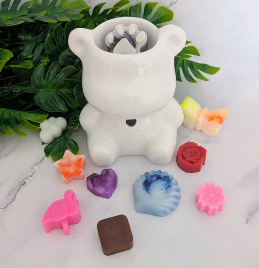 Pack Découvert TEDDY
