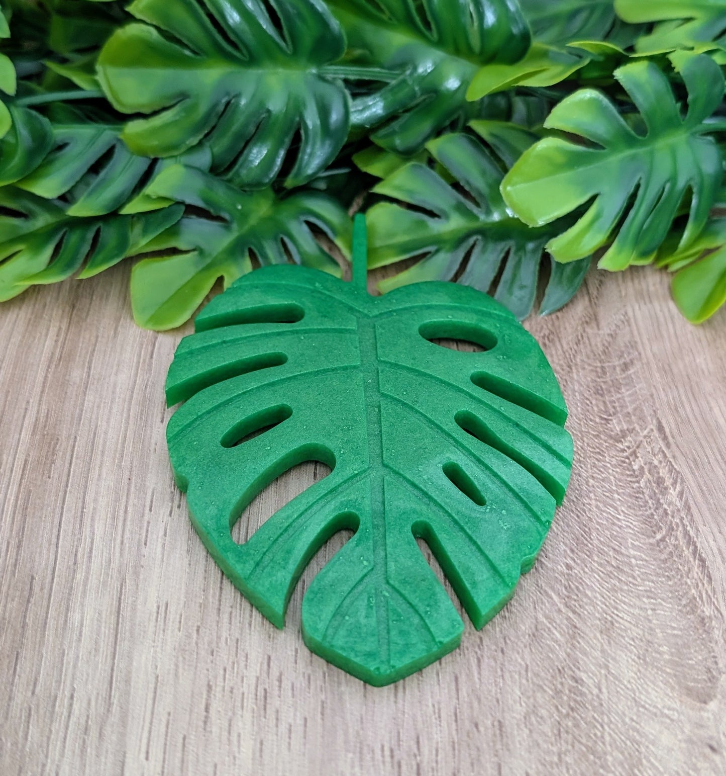 SOUS-VERRE MONSTERA