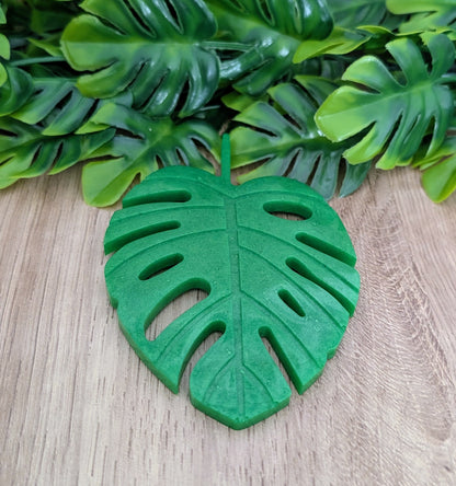 SOUS-VERRE MONSTERA