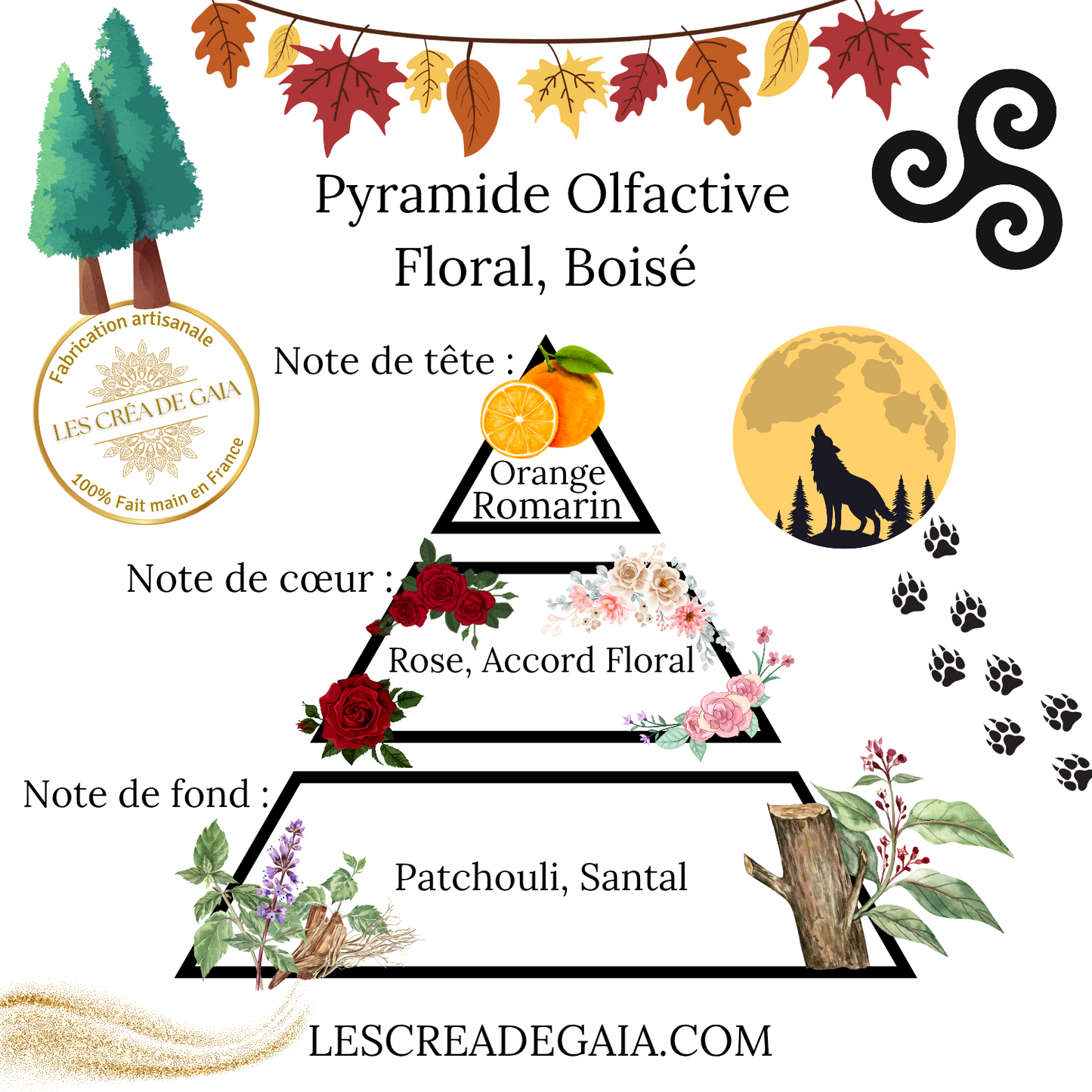 COFFRET DES 4 SYMBOLES