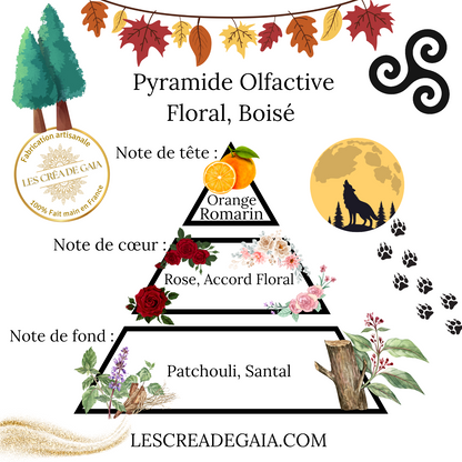 COFFRET DES 4 SYMBOLES