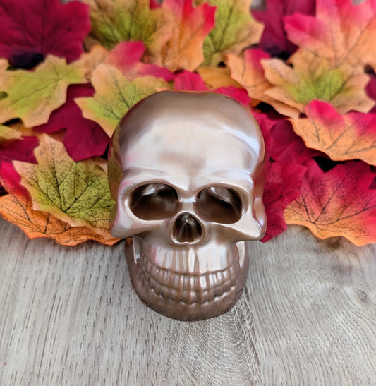 Crâne Bronze